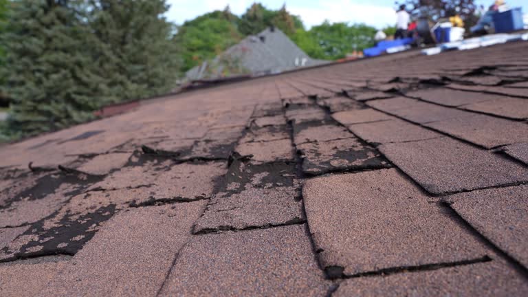 Best Flat Roofing  in Monongah, WV
